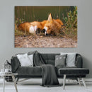Sleeping Fox Wall Art Canvas Print, Farmhouse Wall Decor and by MyGreatCanvas | Canvas Wall Art Prints | Photo Prints & Wall Decor
