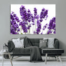 Lavender Flower Wall Art Canvas Print by MyGreatCanvas | Canvas Wall Art Prints | Photo Prints & Wall Decor