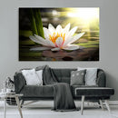 Lotus Flower Wall Art Canvas Print, Water Lily Large Wall
