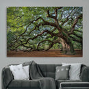 Historic Tree Wall Art – Framed Mossy Branch Canvas Artwork, by MyGreatCanvas | Canvas Wall Art Prints | Photo Prints & Wall Decor