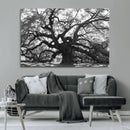 Ancient Oak Wall Art Canvas Print – Gnarled Tree Twisted by MyGreatCanvas | Canvas Wall Art Prints | Photo Prints & Wall Decor