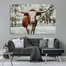 Texas Longhorn Wall Art Canvas Print – Framed Spotted Bull