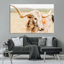 Texas Longhorn Wall Art Canvas Print – Framed Spotted Cow