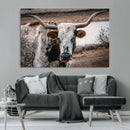 Texas Longhorn Wall Art Canvas Print – Framed Spotted Bull