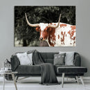 Texas Longhorn Wall Art Canvas Print – Framed Spotted Bull by MyGreatCanvas | Canvas Wall Art Prints | Photo Prints & Wall Decor
