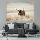 Texas Longhorn Wall Art Canvas Print – Framed Brown Horned