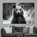 Grizzly Bear Wall Art Canvas Print – Framed Black White