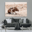 Texas Longhorn Wall Art Canvas Print – Framed Resting Bull by MyGreatCanvas | Canvas Wall Art Prints | Photo Prints & Wall Decor