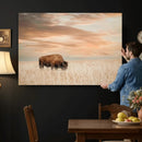MyCanvas -