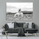 White Horse Wall Art Canvas Print – Framed Woman Rider by MyGreatCanvas | Canvas Wall Art Prints | Photo Prints & Wall Decor