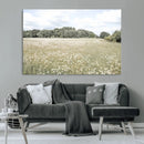 Charming Daisy Field Wall Art Canvas Print – Framed Pastel