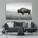 Bison Wall Art Canvas Print – Framed Rustic Wildlife Scene by MyGreatCanvas | Canvas Wall Art Prints | Photo Prints & Wall Decor