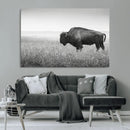 Bison in Prairie Wall Art Canvas Print – Framed Rustic by MyGreatCanvas | Canvas Wall Art Prints | Photo Prints & Wall Decor