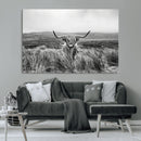 Monochrome Highland Cow Wall Art Canvas Print – Framed by MyGreatCanvas | Canvas Wall Art Prints | Photo Prints & Wall Decor