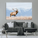 Elk Wall Art Canvas Print – Framed Mountain Wildlife Art by MyGreatCanvas | Canvas Wall Art Prints | Photo Prints & Wall Decor