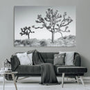 Joshua Tree Wall Art Canvas Print – Framed Black White by MyGreatCanvas | Canvas Wall Art Prints | Photo Prints & Wall Decor