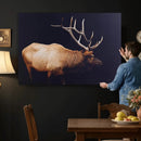 Rustic Elk Wall Art Canvas Print – Framed Moody Wildlife Art by MyGreatCanvas | Canvas Wall Art Prints | Photo Prints & Wall Decor