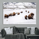 Bison Herd Wall Art Canvas Print – Framed Western Wildlife by MyGreatCanvas | Canvas Wall Art Prints | Photo Prints & Wall Decor