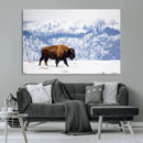 Bison Snow Wall Art Canvas Print – Framed Wildlife Scene by MyGreatCanvas | Canvas Wall Art Prints | Photo Prints & Wall Decor