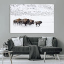 Bison Herd Decor Wall Art Canvas Print – Framed Snowy Bison by MyGreatCanvas | Canvas Wall Art Prints | Photo Prints & Wall Decor