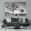 Joshua Tree Wall Art Canvas Print – Framed Monochrome Desert
