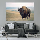 Bison Wall Art Canvas Print – Framed Buffalo Canvas Picture by MyGreatCanvas | Canvas Wall Art Prints | Photo Prints & Wall Decor