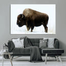 Bison Wall Art Canvas Print – Framed Western Wildlife