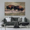 Bison Wall Art Canvas Print – Framed Western Wildlife Art by MyGreatCanvas | Canvas Wall Art Prints | Photo Prints & Wall Decor