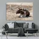 Texas Longhorn Wall Art Canvas Print – Framed Country Living