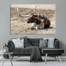 Texas Longhorn Wall Art Canvas Print – Framed Country Art by MyGreatCanvas | Canvas Wall Art Prints | Photo Prints & Wall Decor