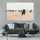 Bison Herd Wall Art Canvas Print, Framed Western Landscape by MyGreatCanvas | Canvas Wall Art Prints | Photo Prints & Wall Decor
