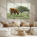 Texas Longhorn Wall Art Canvas Print – Rustic Western Ranch by MyGreatCanvas | Canvas Wall Art Prints | Photo Prints & Wall Decor