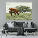 Texas Longhorn Wall Art Canvas Print – Framed Rustic Ranch by MyGreatCanvas | Canvas Wall Art Prints | Photo Prints & Wall Decor