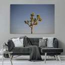 Joshua Tree Wall Art Canvas Print – Framed Southwestern by MyGreatCanvas | Canvas Wall Art Prints | Photo Prints & Wall Decor
