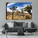 Joshua Tree Desert Wall Art Canvas Print – Framed by MyGreatCanvas | Canvas Wall Art Prints | Photo Prints & Wall Decor