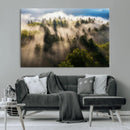 Tranquil Forest Wall Art Canvas Print – Framed Sunbeam by MyGreatCanvas | Canvas Wall Art Prints | Photo Prints & Wall Decor