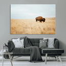 Buffalo Wall Art Canvas Print – Framed Western Wildlife by MyGreatCanvas | Canvas Wall Art Prints | Photo Prints & Wall Decor
