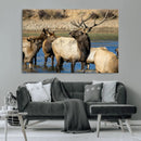 Wild Elk Wall Art Canvas Print – Framed Neutral Wildlife by MyGreatCanvas | Canvas Wall Art Prints | Photo Prints & Wall Decor