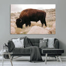 Western Wildlife Wall Art Canvas Print, Majestic Wilderness by MyGreatCanvas | Canvas Wall Art Prints | Photo Prints & Wall Decor