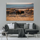 Western Framed Bison Wall Art Canvas Print by MyGreatCanvas | Canvas Wall Art Prints | Photo Prints & Wall Decor