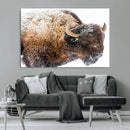 Snowy Buffalo Wall Art Canvas Print – Framed Rustic Lodge by MyGreatCanvas | Canvas Wall Art Prints | Photo Prints & Wall Decor