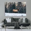 Wild Elk Wall Art Canvas Print – Framed Winter Wildlife by MyGreatCanvas | Canvas Wall Art Prints | Photo Prints & Wall Decor