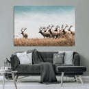 Elk Herd Wall Art Canvas Print – Framed Wildlife Photography