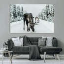 Moose Snow Wall Art Canvas Print – Framed Winter Wildlife