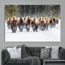 American Bison Herd Wall Art Canvas Print – Powerful Winter by MyGreatCanvas | Canvas Wall Art Prints | Photo Prints & Wall Decor