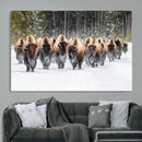 Bison Herd Scene Wall Art Canvas Print – Framed Western by MyGreatCanvas | Canvas Wall Art Prints | Photo Prints & Wall Decor
