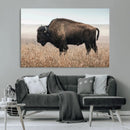 American Bison Wall Art Canvas Print – Majestic Buffalo