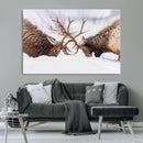 Dramatic Elk Antler Battle Wall Art Canvas Print – elk by MyGreatCanvas | Canvas Wall Art Prints | Photo Prints & Wall Decor