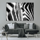 Zebra Stripes Wall Art Canvas Print – Black White Contrast by MyGreatCanvas | Canvas Wall Art Prints | Photo Prints & Wall Decor