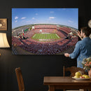 William Brice Stadium Wall Art Canvas Print – Stadium Crowd